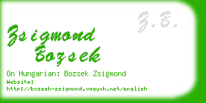 zsigmond bozsek business card